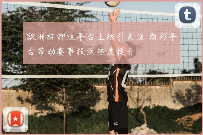 欧洲杯押注平台上线引关注 购彩平台带动赛事投注热度提升
