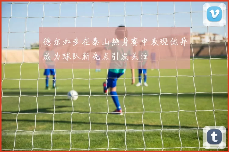 德尔加多在泰山热身赛中表现优异成为球队新亮点引发关注