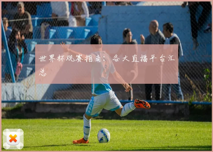 世界杯观赛指南:各大直播平台汇总
