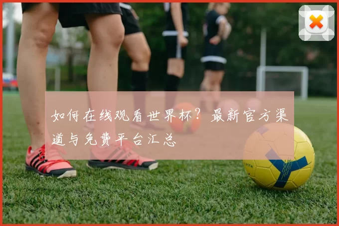 如何在线观看世界杯?最新官方渠道与免费平台汇总
