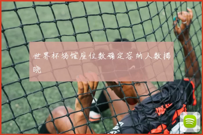 世界杯场馆座位数确定容纳人数揭晓