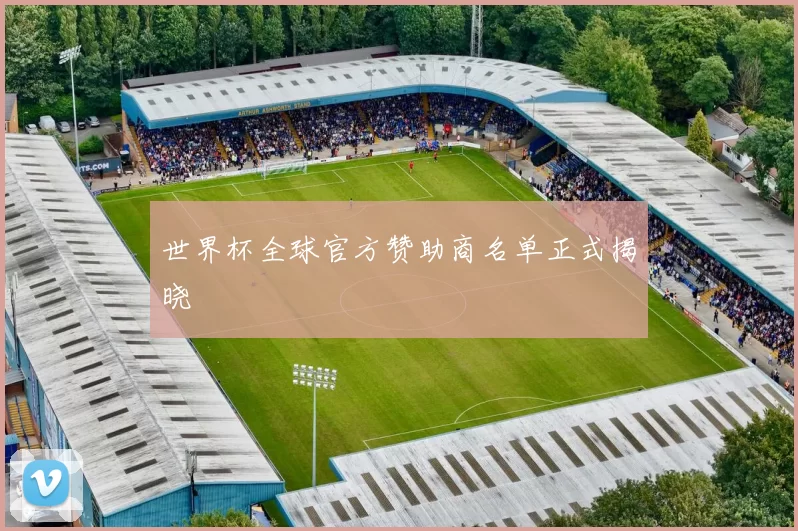 世界杯全球官方赞助商名单正式揭晓