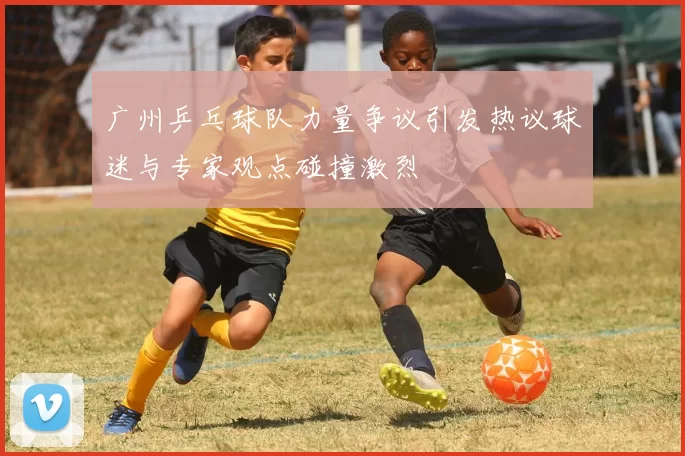广州乒乓球队力量争议引发热议球迷与专家观点碰撞激烈