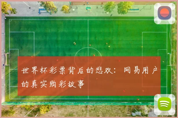 世界杯彩票背后的悲欢:网易用户的真实购彩故事