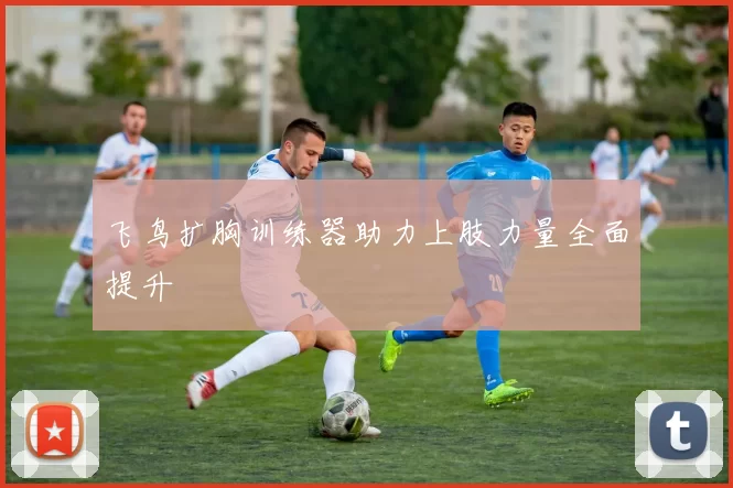 飞鸟扩胸训练器助力上肢力量全面提升