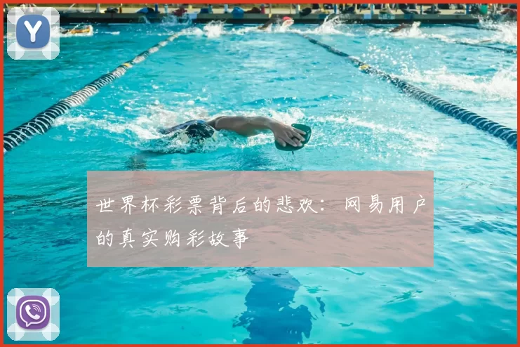 世界杯彩票背后的悲欢:网易用户的真实购彩故事