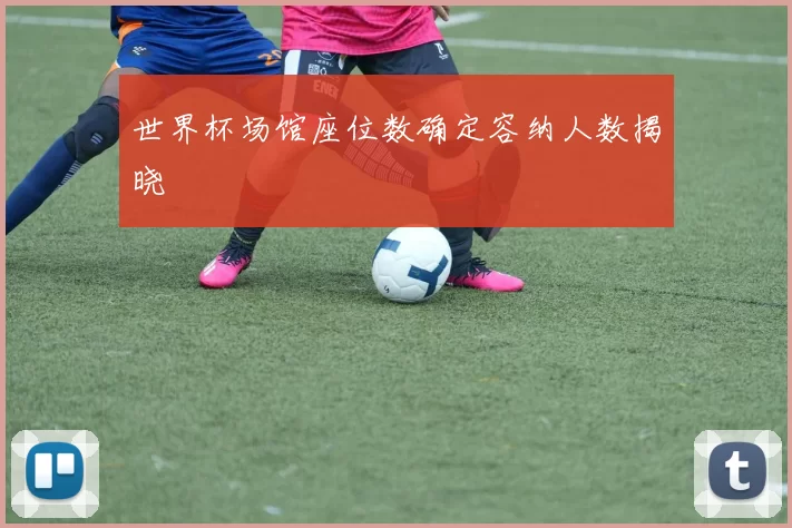 世界杯场馆座位数确定容纳人数揭晓