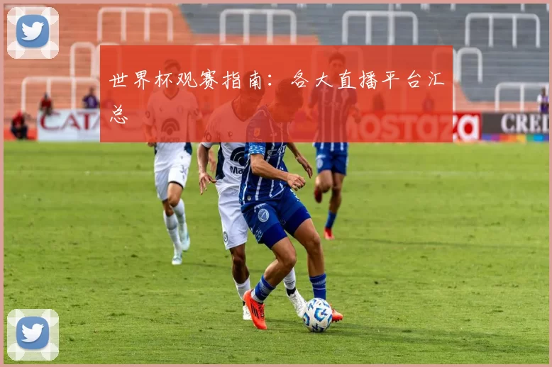 世界杯观赛指南:各大直播平台汇总