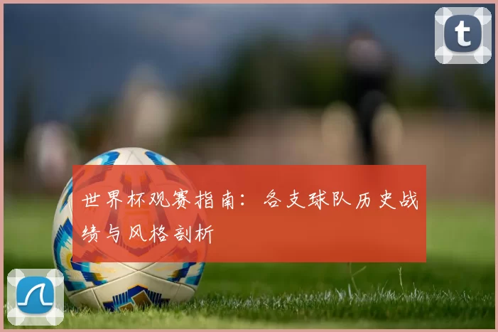 世界杯观赛指南:各支球队历史战绩与风格剖析