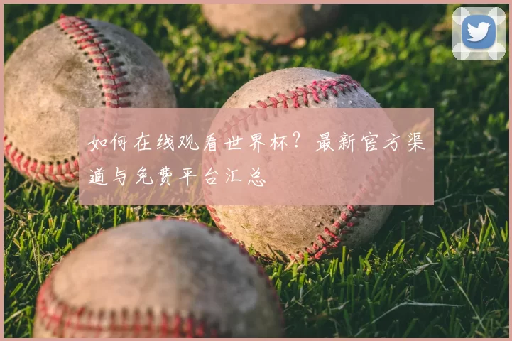 如何在线观看世界杯?最新官方渠道与免费平台汇总