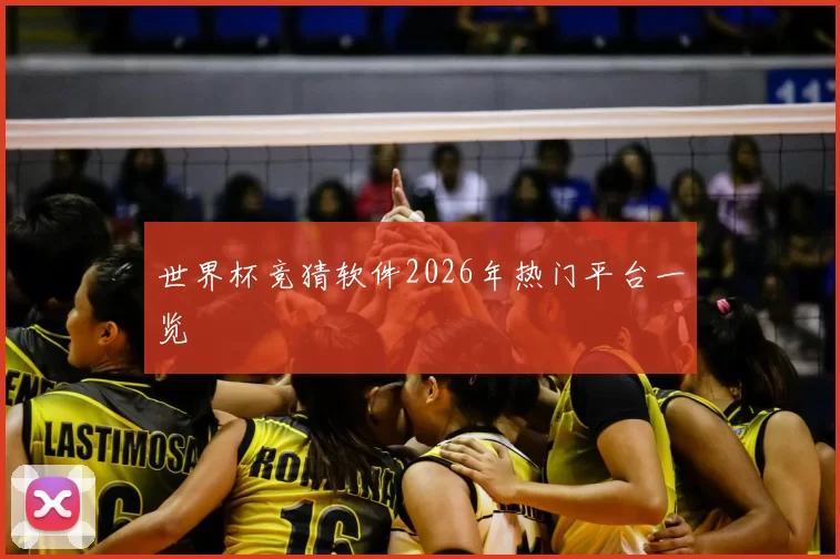 世界杯竞猜软件2026年热门平台一览